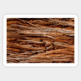 Stringy Bark Tree Texture Sticker